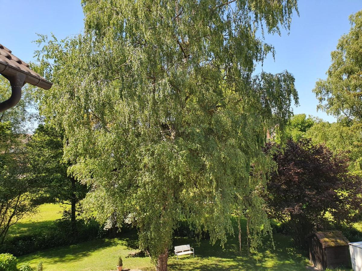 Schoenenberger Hof Orsingen-Nenzingen Zewnętrze zdjęcie